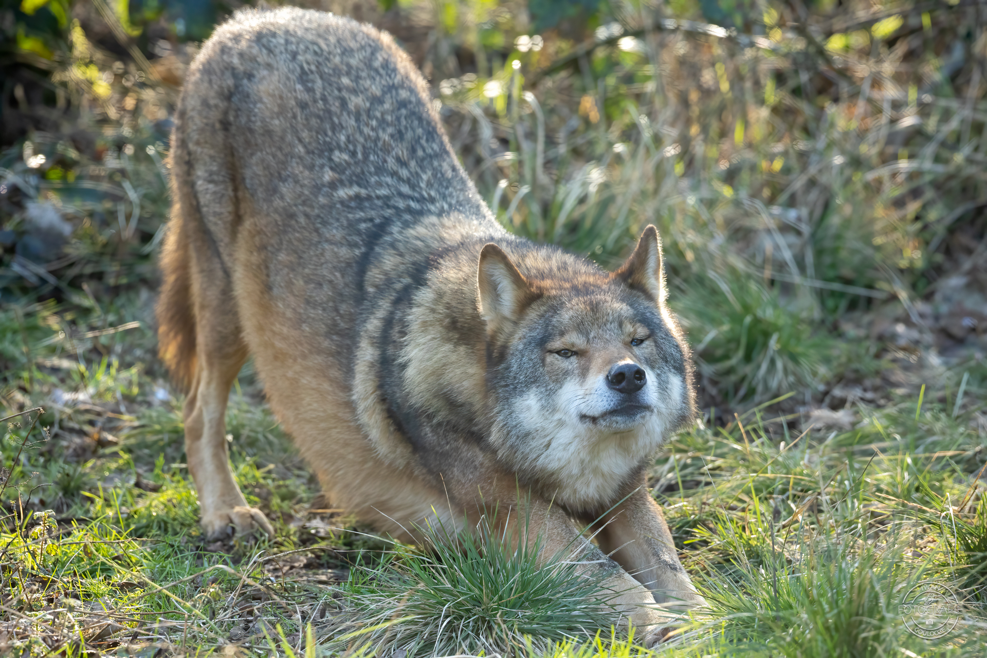 28 januari 2023 141232 1R2A7768 bewerkt